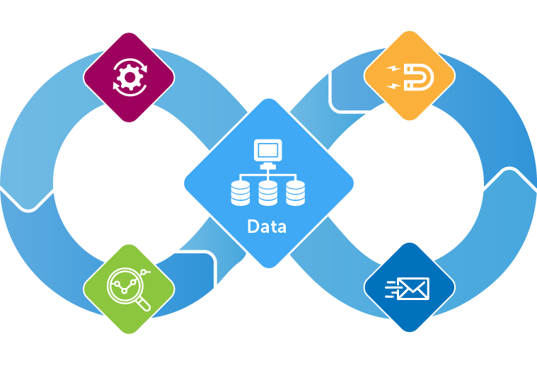 d-insight-infographic